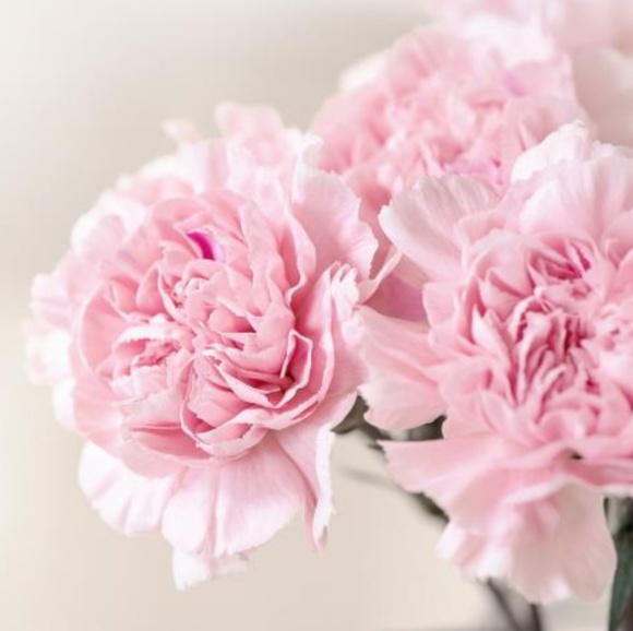 Meet your Posher, Mary - Picture 1 of 1